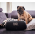 JBL Xtreme 3 Czarny - 599286 - zdjęcie 4